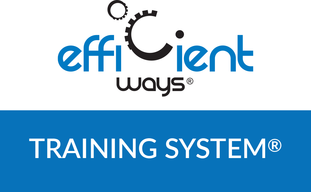 logo training system R